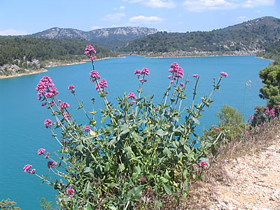 Lac de Bimont