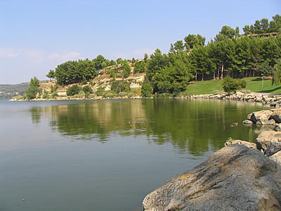 Etang de l'Olivier