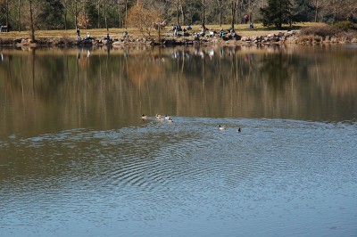 Lac de l'Avellan Lac de l'Avellan
