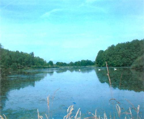 Grand étang de Venas