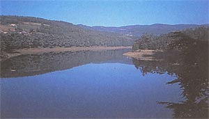 Lac du Ternay
