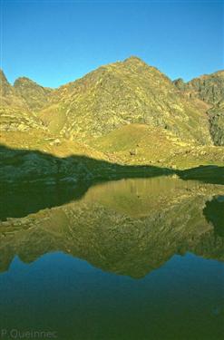 Etang de la Gardelle 1