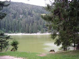 Lac Vert (Soultzeren)