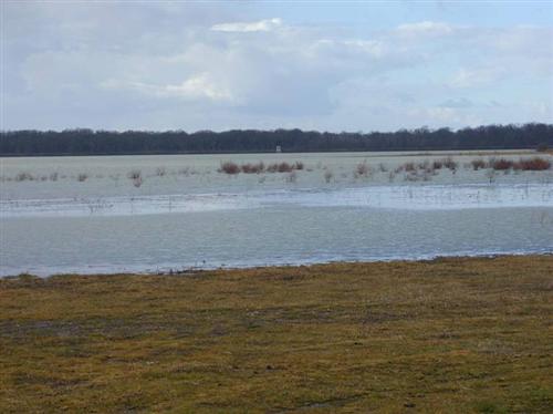 Etang de la Grand Rue