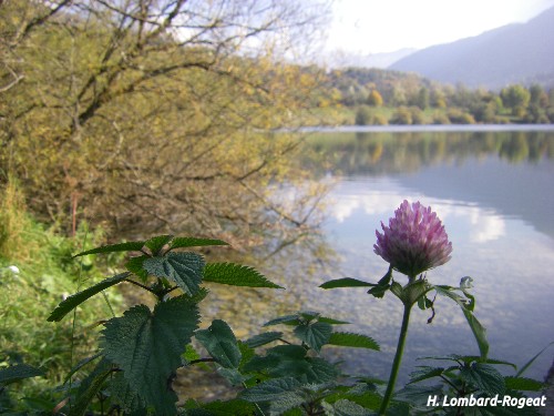 Plan d'eau de Lescheraines