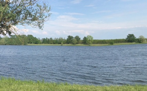 Plan d'eau de Cormoranche