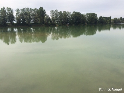 Plan d'eau des Sirmonot