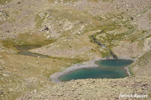 Lacs Varicles Lacs Varicles