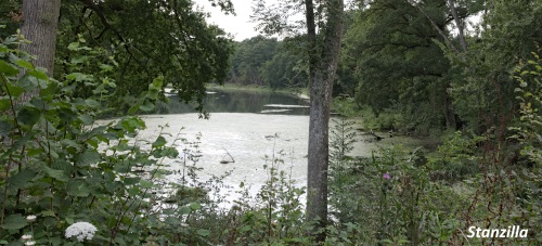 Etangs du vieux Conches Etangs du vieux Conches